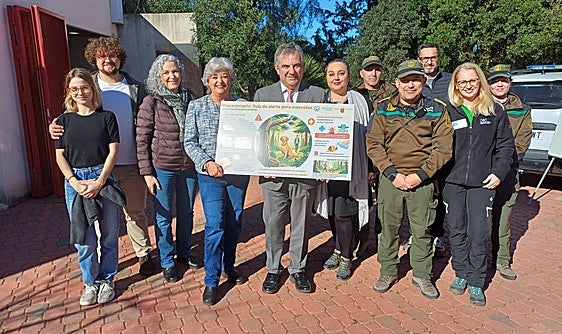 El Gobierno regional y el Colegio de Veterinarios lanzan una campaña para proteger a las mascotas frente a la procesionaria del pino