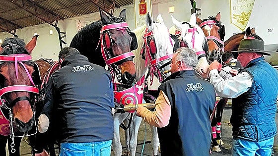 El alma ecuestre de la Semana Santa de Lorca