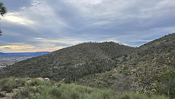 La Comunidad culmina en Fortuna actuaciones forestales por más de 335.000 euros para reforzar la protección de los montes