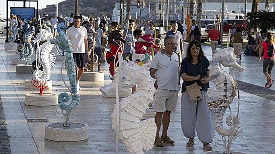 Cartagena se sumerge entre caballitos de mar para concienciar sobre la fragilidad de su litoral