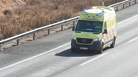 Un muerto y dos heridos al estrellarse un coche contra una valla en Mazarrón