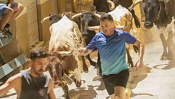 Las vacas y los mansos entretienen a más de 4.000 personas en el segundo encierro de Blanca