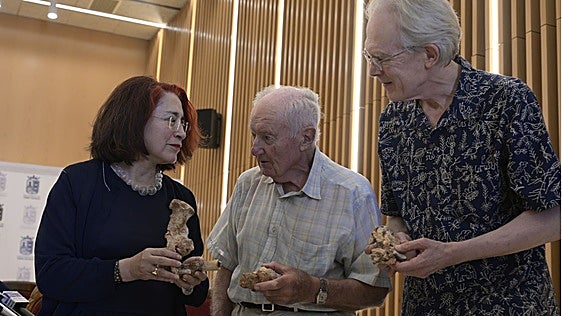 La pelvis de la neandertal del Cabezo Gordo reescribe una de las grandes teorías de la evolución humana