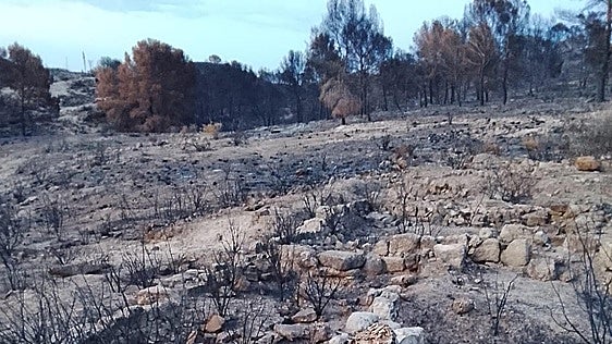 El fuego se ceba con el yacimiento romano de la Fuente de la Pinilla, en Mazarrón