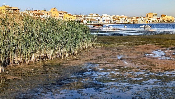 La Comunidad pide incluir el Mar Menor y 39 especies en el Plan Nacional de Restauración de la Naturaleza