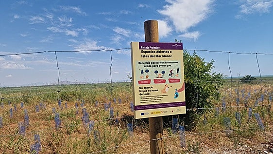 La mejora de la cuenca del Mar Menor avanza en el Carmolí y quince vías pecuarias