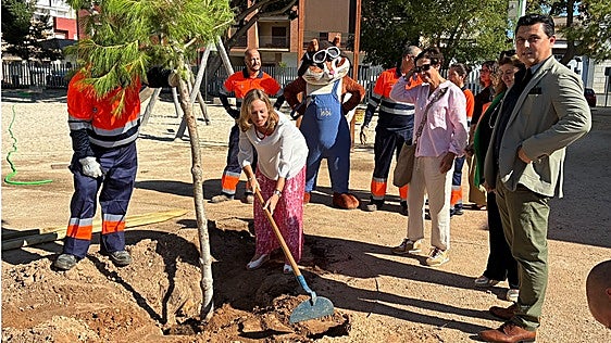 Plantarán 28.400 árboles más en San Javier para lograr el 30% de cobertura vegetal en 2046