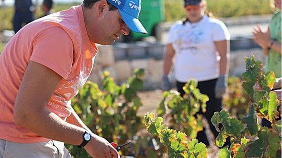 Una vendimia inclusiva acerca la cultura del vino a personas con autismo en Yecla