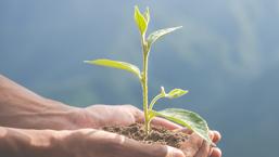 Día Mundial del Medio Ambiente