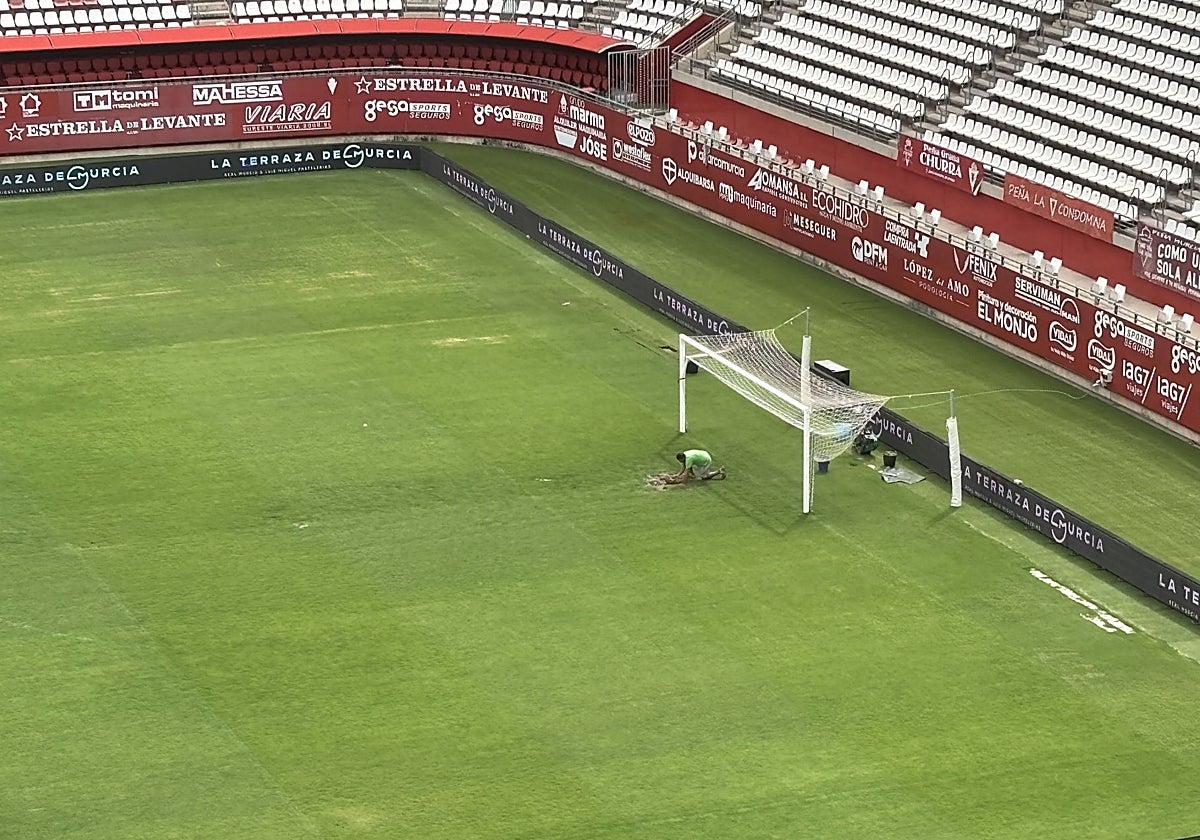 El césped, otra preocupación para el Real Murcia – La Verdad