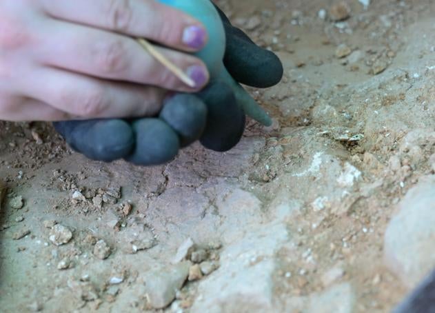 Imagen secundaria 1 - Cuando excavar deja de ser cavar