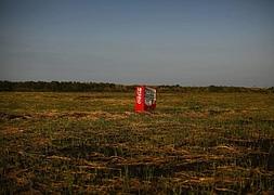 Una máquina de refrescos sigue 'varada' en Fukushima. / Reuters