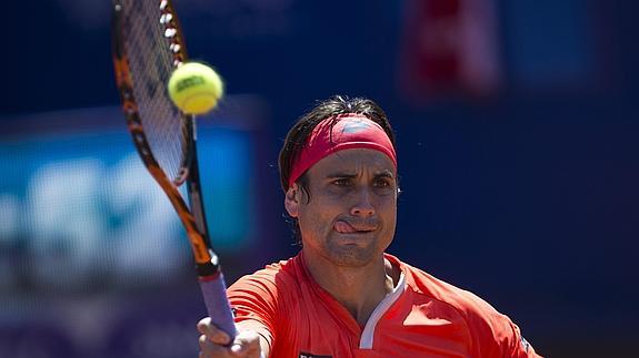 David Ferrer. 