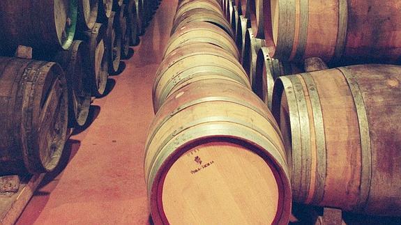 Interior de las bodegas de Vega Sicilia. 