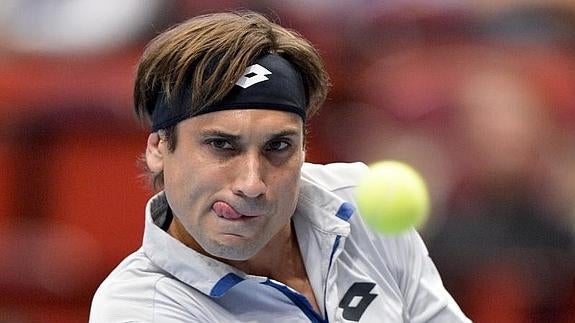 David Ferrer, en Viena. 