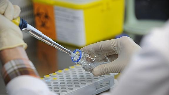 Investigación en laboratorio.