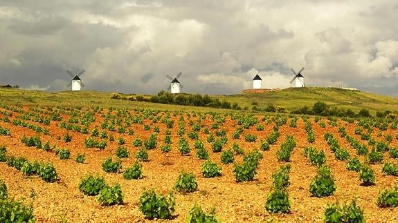 Viñedos y molinos de Castilla-La Mancha