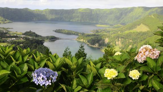 Vegetación en las Azores.