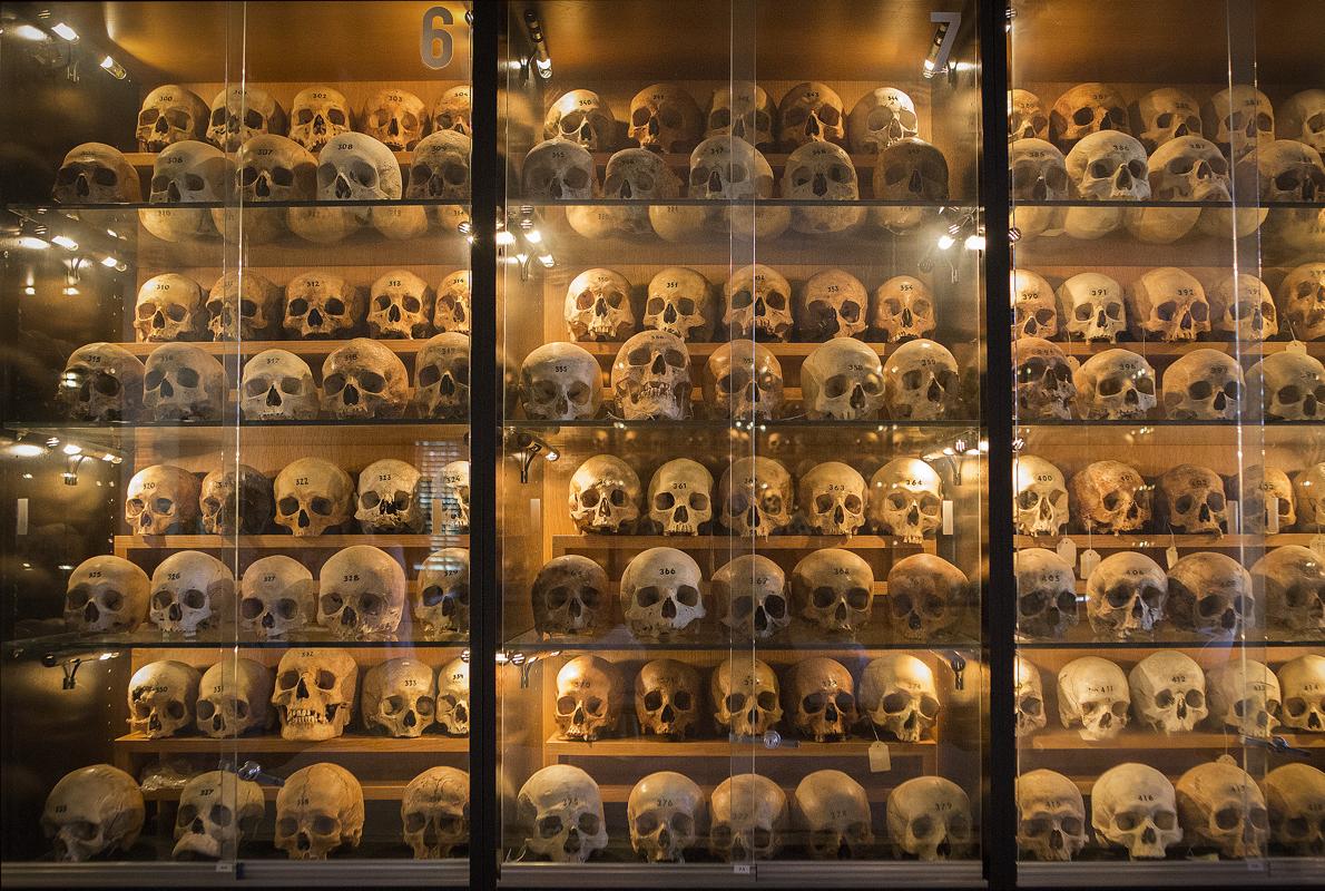 Colección de cráneos del Museo de Antropología Forense de Madrid.