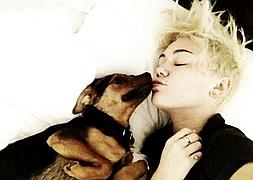 Captura de Twitter @MileyCyrus