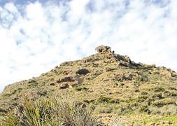 Un volcán con muchas vistas