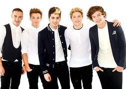 Los cantantes de One Direction /foto: promo.