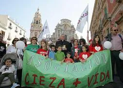Imagen de una manifestación contra el aborto de abril de este año. :: F. Manzanera/AGM