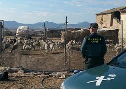 Un agente de la Guardia Civil vigila una explotación ganadera. :: G. C.