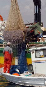 EL VERANO PASADO. Un barco pesquero descarga medusas en el Mar Menor durante la campaña del 2007 (foto de archivo). / J. CARRIÓN / AGM