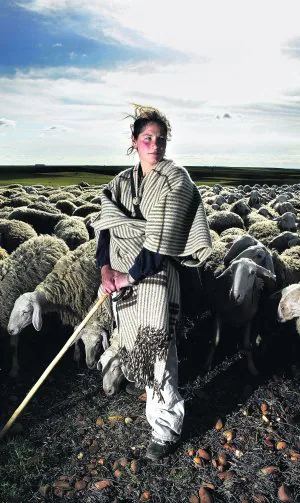 María Valbuena alimenta a sus ovejas entre pastos y rastrojeras en La Seca. ::
JUSTINO DIEZ-JCYL
