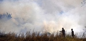 Unos bomberos se afanan en apagar, ayer, un fuego intencionado en la carretera que va de La Unión a El Llano del Beal. ::                             ANTONIO GIL/ AGM