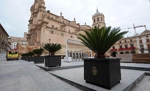 Los nuevos maceteros instalados en la Plaza de España. ::
PACO ALONSO / AGM