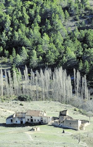 Vista de Hondares de Arriba, situado junto al nacimiento del arroyo de Hondares y una enorme chopera.