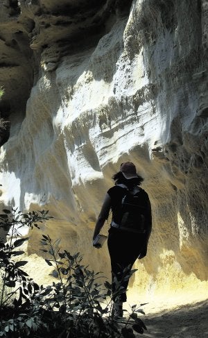 El recorrido por Río Seco, de unos 5 kilómetros, discurre entre las paredes de arenisca erosionada que encajonan la rambla.