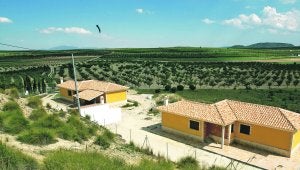 Arriba las dos naves de uso        no agrícola cuyas obras están paradas, y abajo la piscina. Ambas en zona Zepa. ::                             M. BUESO/AGM