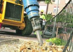 Triturarán un millar de troncos secos con la destoconadora y plantarán árboles nuevos