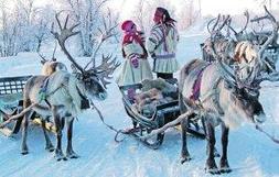 Lapones junto a sus trineos, tirados por renos en Noruega. ::  EFE