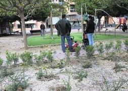 Parques y Jardines blinda los setos de la antigua Lonja contra los perros