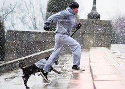 Rocky Balboa se entrena con su perro, en una escena de la saga cinematográfica. ::                             FOX
