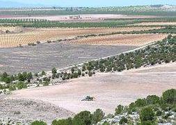 Un tractor realiza faenas agrícolas en la zona roturada. ::                             J.G.