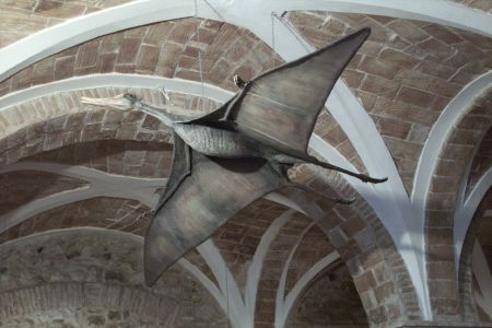 Los pterosaurios eran incapaces de volar por sí solos debido a su peso