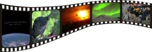 Naturaleza de película. Primeros fotogramas de la película; un azor devora a su presa; las grullas vuelan al atardecer; la aurora boreal; y, una salamandra todas escenas que refleja 'Tierra y Agua'.