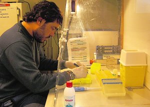Miguel Motas trabaja en el laboratorio.