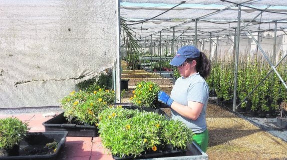 Rocío Montoya, una de las protagonistas del corto, realiza labores en un huerto.