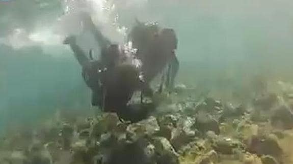 Dos buceadores exploran el fondo marino de Cala Fría, en Cabo de Palos