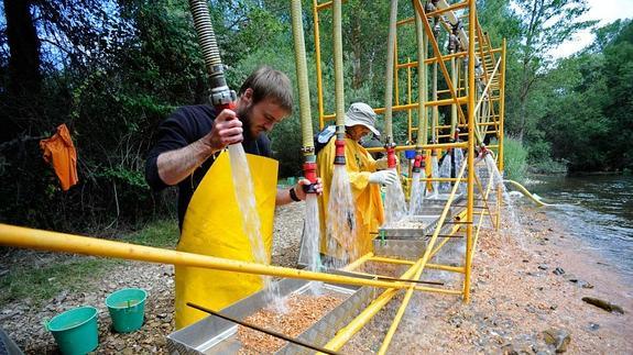 Un equipo de investigadores se afana en lavar en el Arlanzón y secar y clasificar los restos hallados en Atapuerca. 