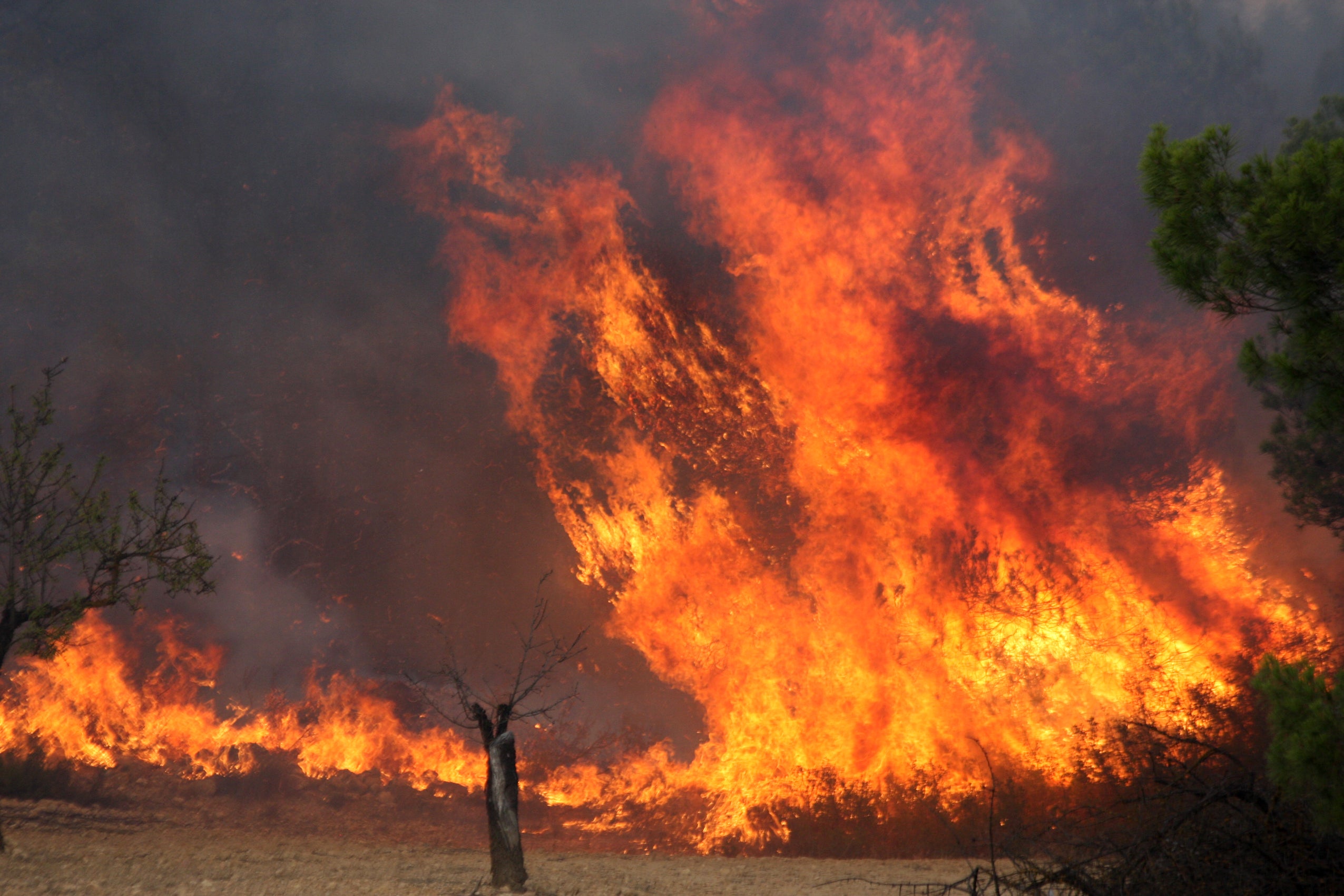 Imagen del incendio de Almansa.