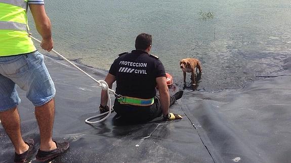 Imagen del rescate.