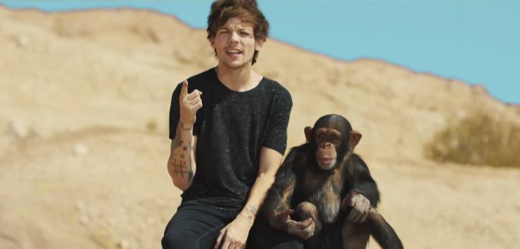 One Direction acusados de maltrato animal