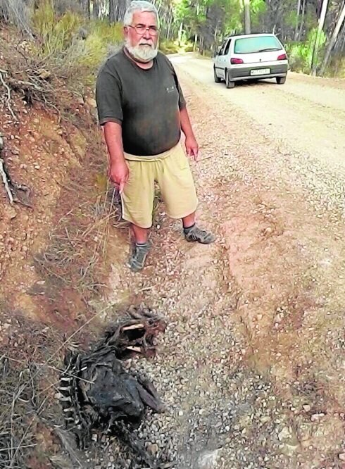Luis Provencio muestra el cadáver de un arrui en el Valle de Leyva. :: lv